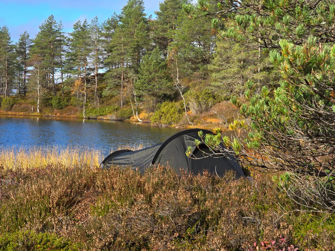 NORTENT Skjul